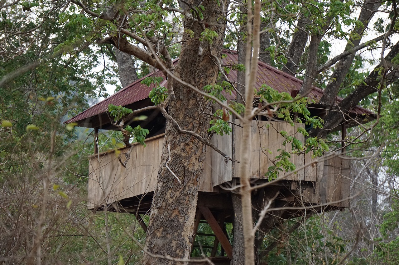 The Treehouse, Costa Rica (image credits: pixabay)