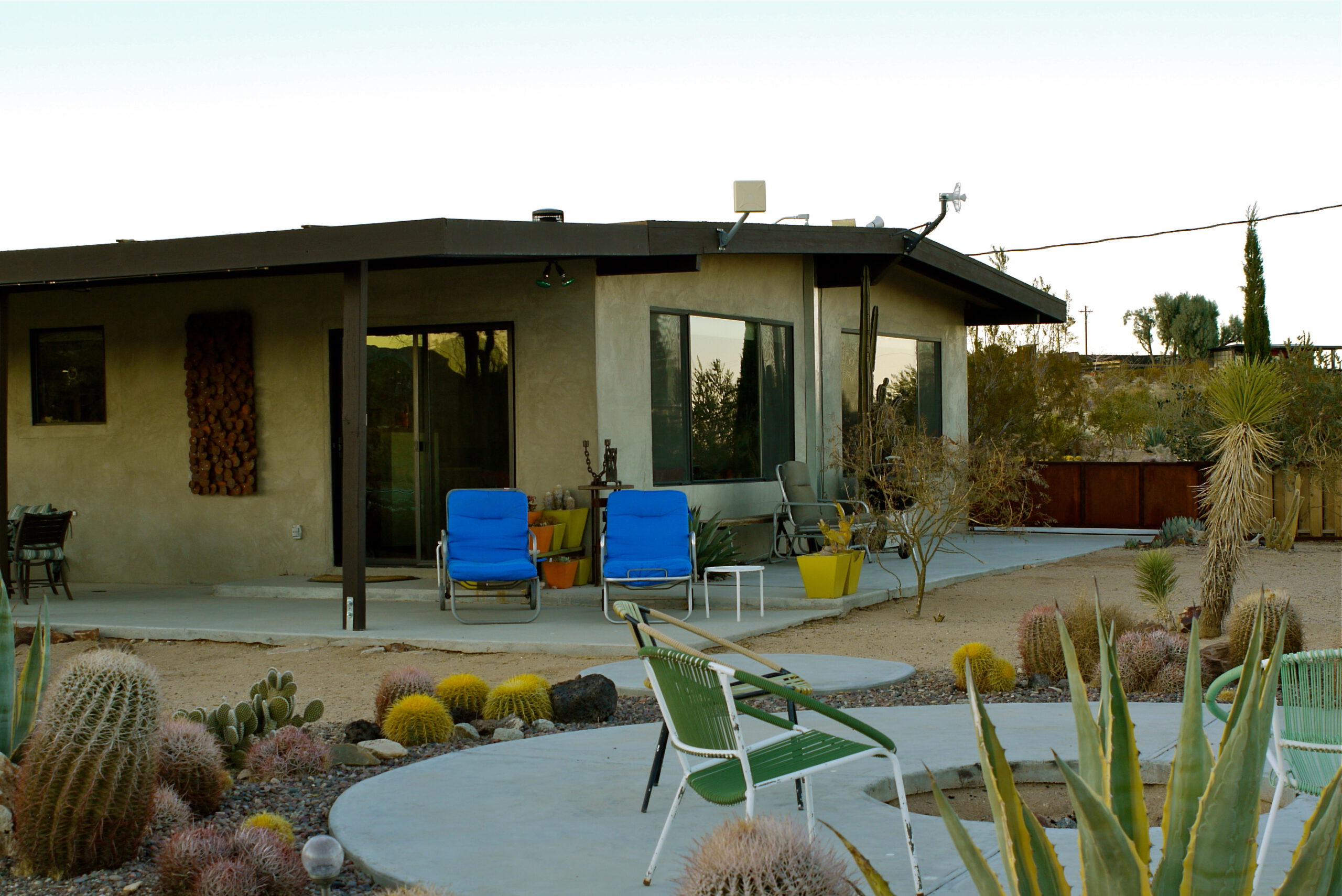 The Desert Oasis, Joshua Tree, California (image credits: wikimedia)