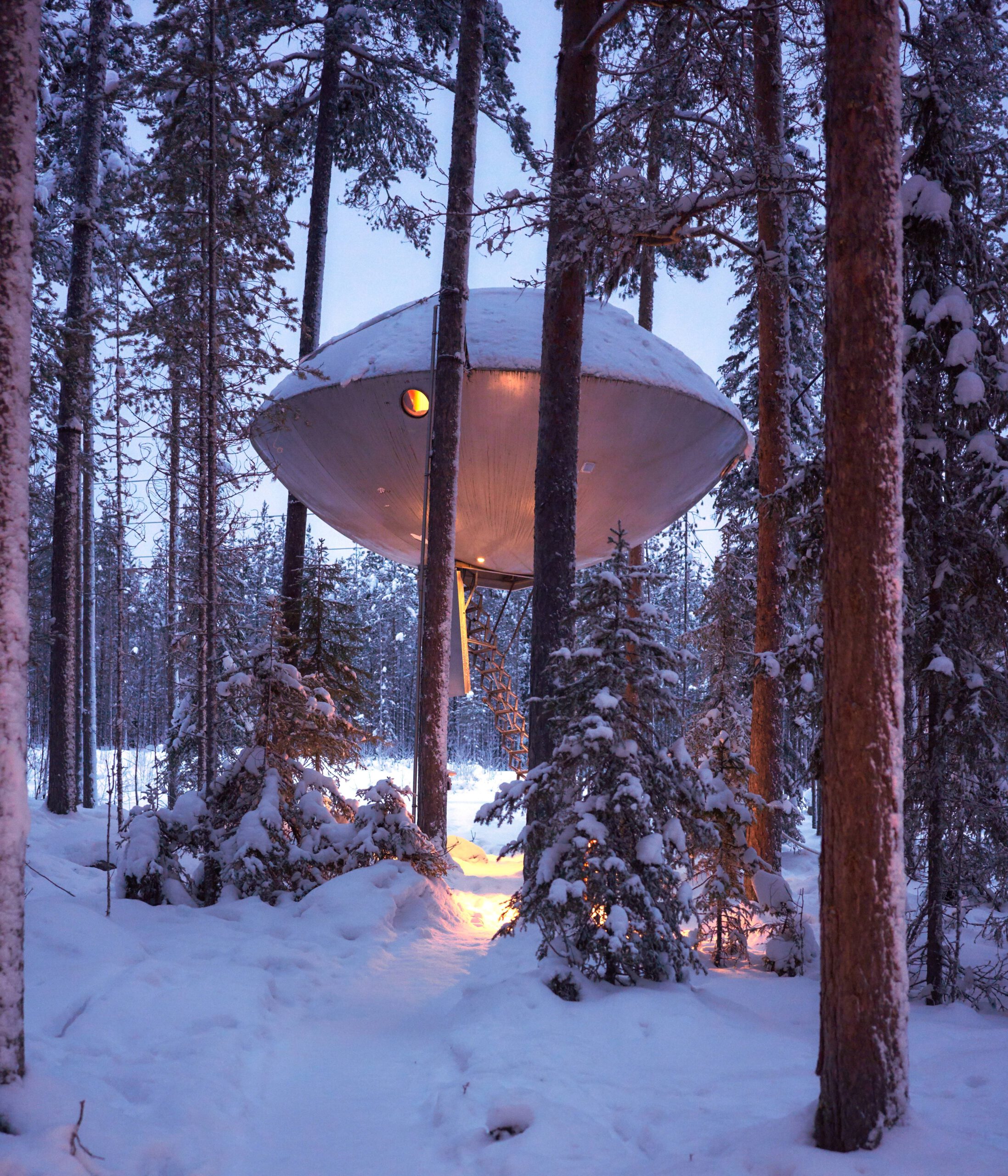 2. The Treehotel, Sweden (image credits: wikimedia)