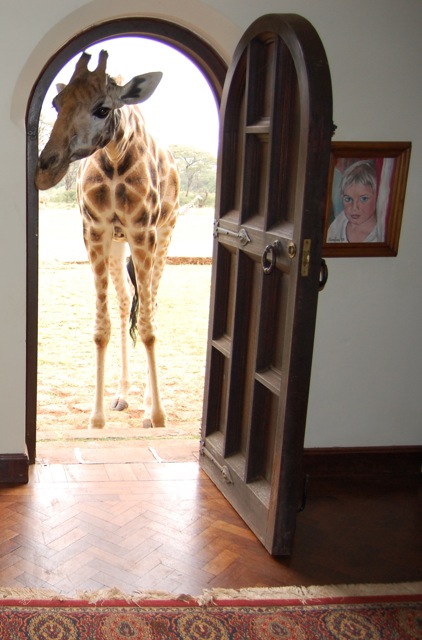 3. Giraffe Manor, Kenya (image credits: wikimedia)