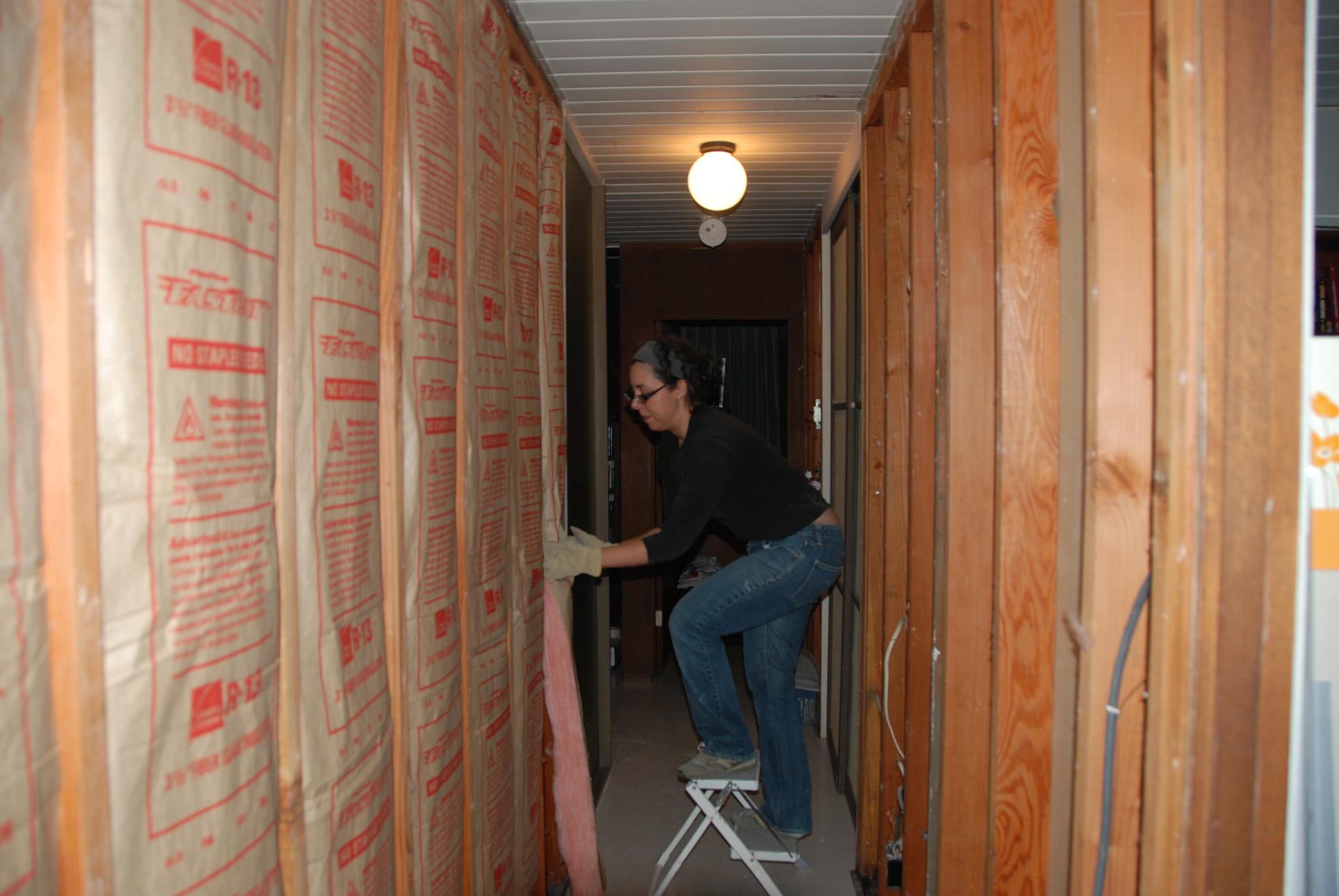 Bio-Based Insulation – Sustainable Comfort for Modern Living (image credits: wikimedia)