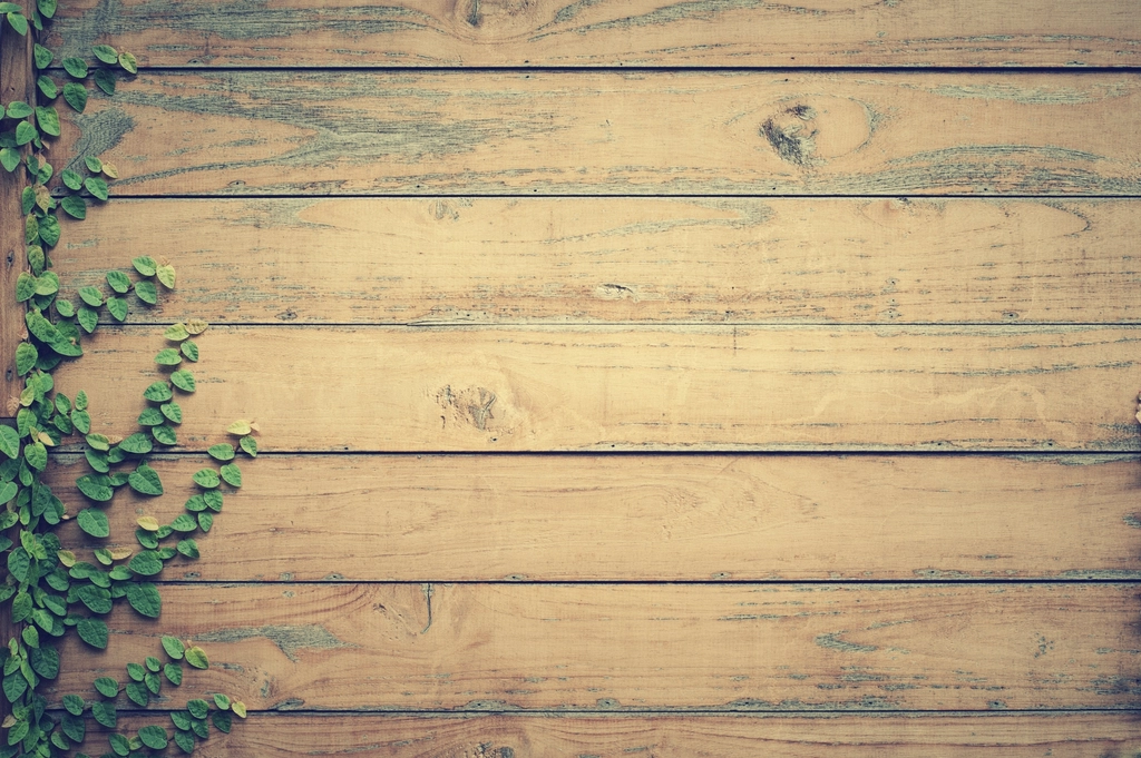 Use of Natural Materials (image credits: rawpixel)