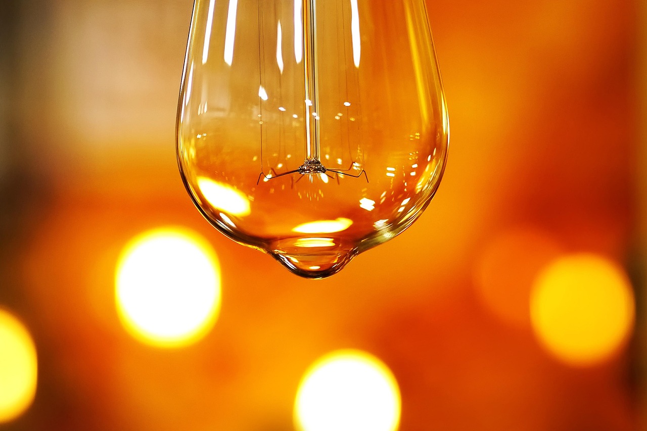 Vintage Edison Bulbs (image credits: pixabay)
