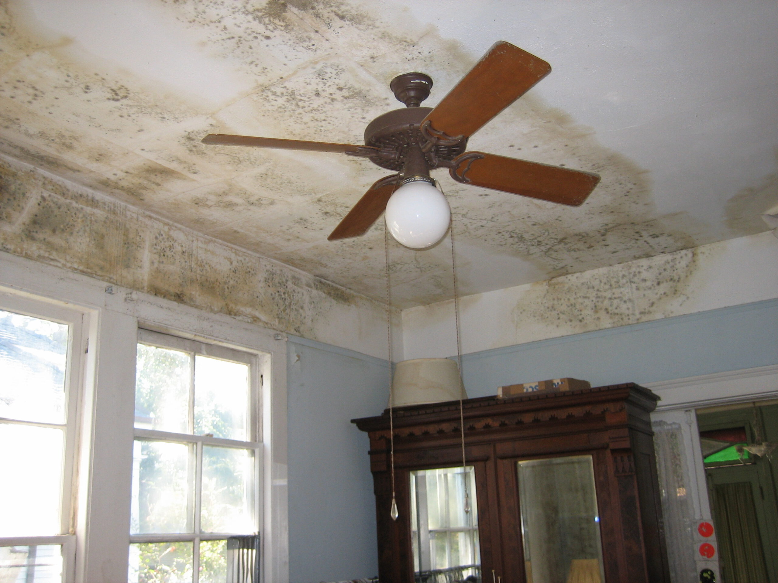 Statement Ceilings Make Every Room Unforgettable (image credits: wikimedia)
