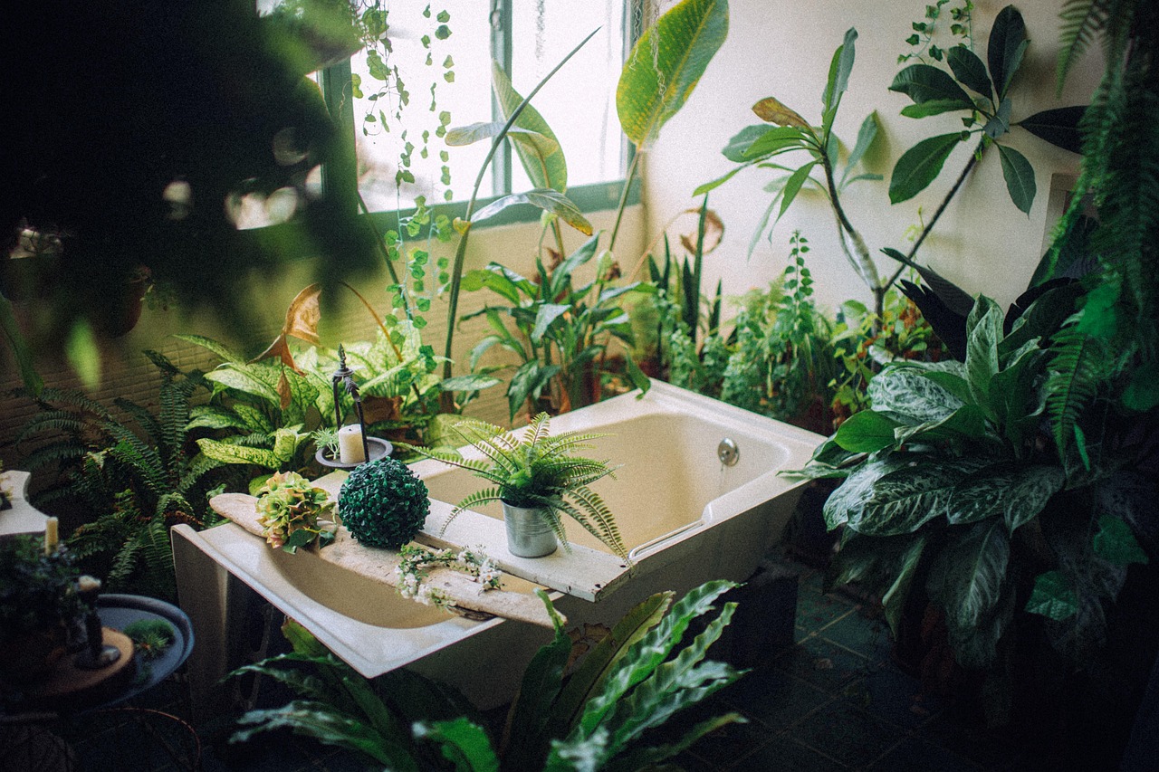 Indoor Plants Bring Nature’s Calm Inside (image credits: pixabay)