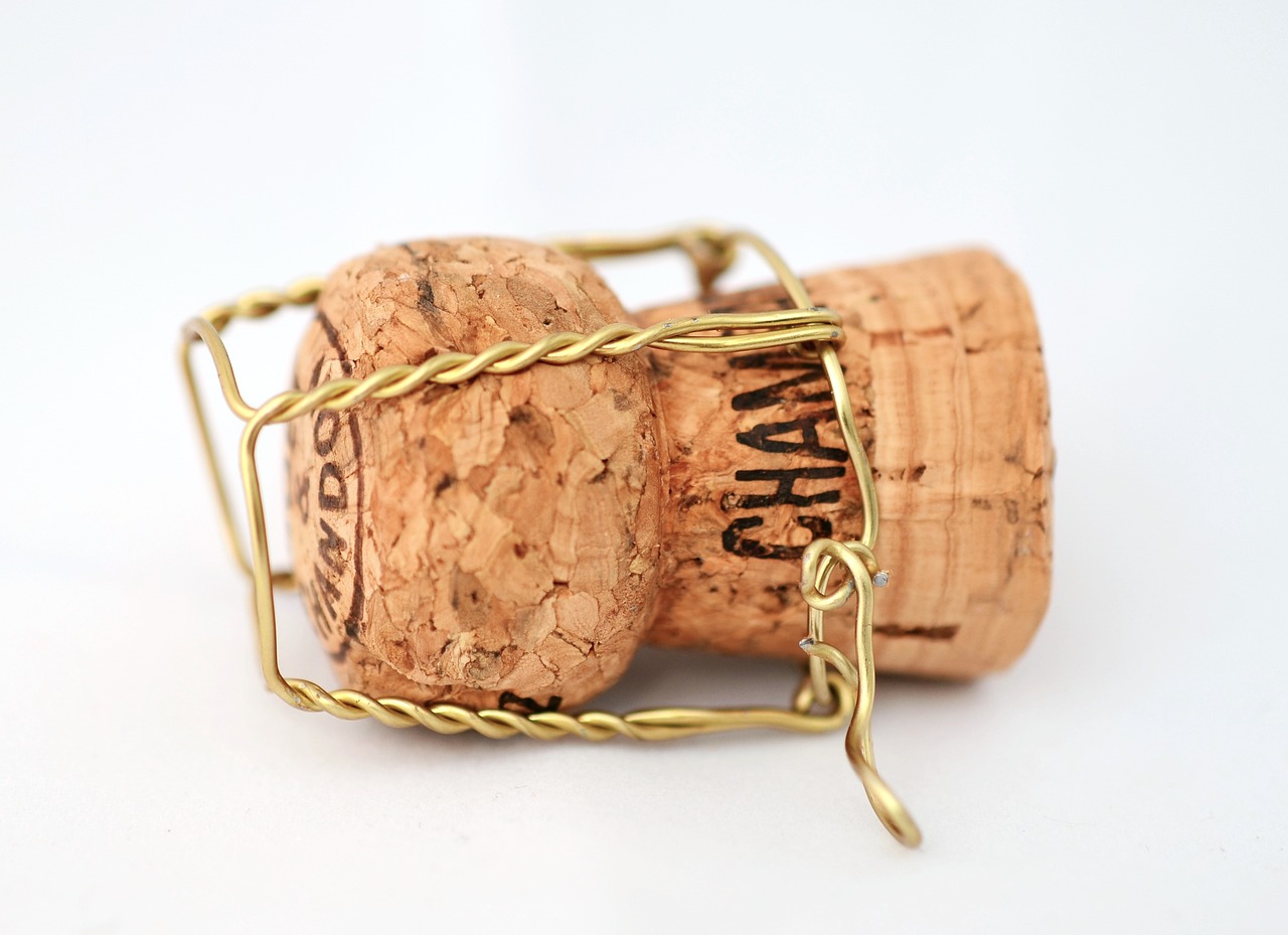 The Unexpected Power of Cork (image credits: pixabay)