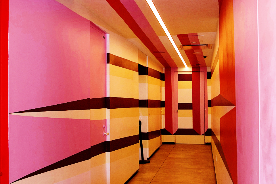 Color Sets the Emotional Tone (image credits: stocksnap)