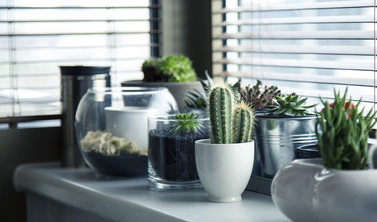 Designing with Plants Layout and Placement (image credits: pixabay)