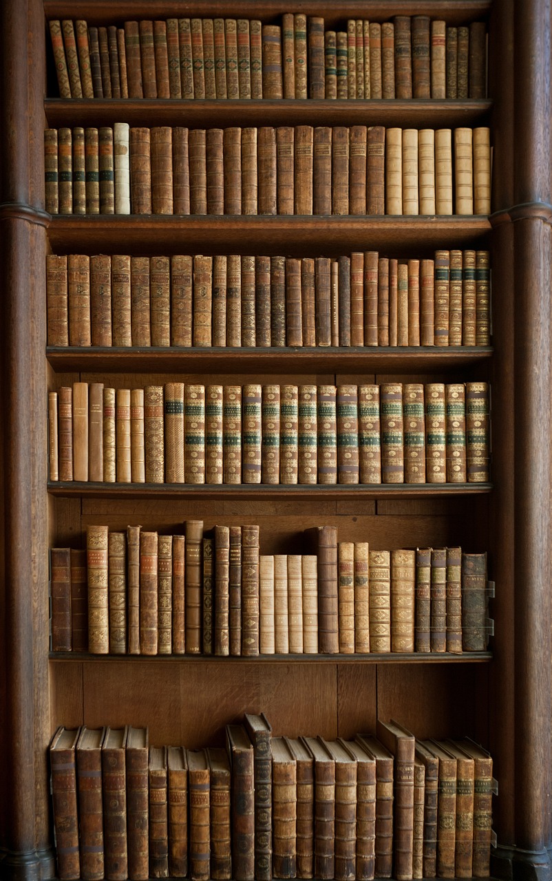 Colorful Bookcases: Functional Showpieces (image credits: pixabay)