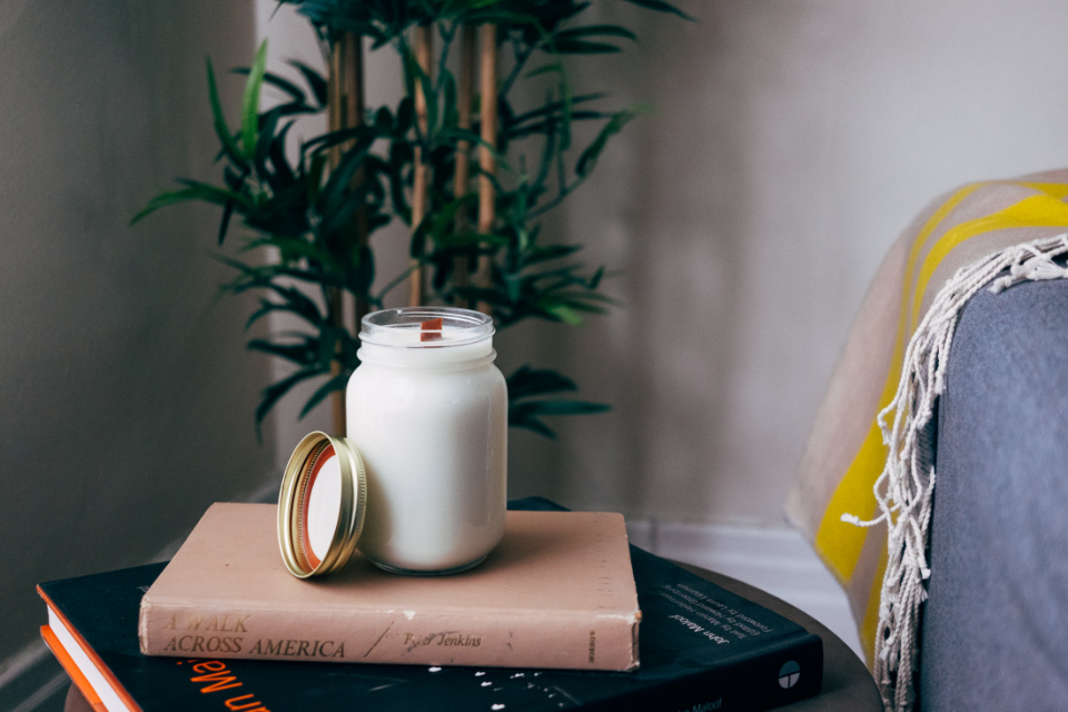 Greenery and Natural Elements: Bringing Life and Luxury Indoors (image credits: stocksnap)
