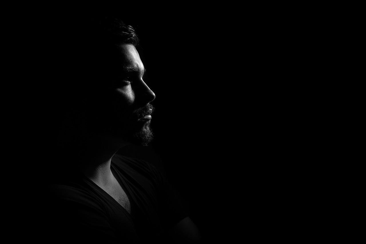 Negative Fill Creates Dramatic Professional Contrast (image credits: pixabay)